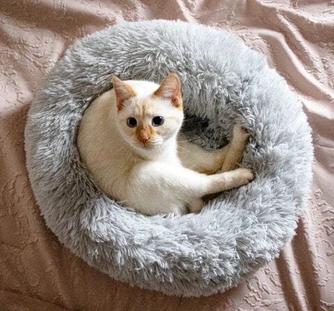 Ronde Honden- en Kattenmand – XXL Knuffelbed van Pluche