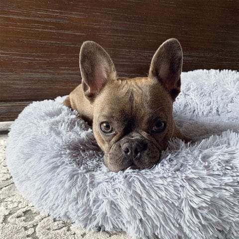 Ronde Honden- en Kattenmand – XXL Knuffelbed van Pluche