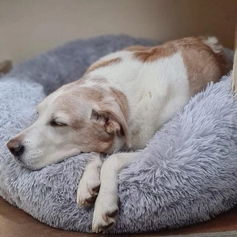 Ronde Honden- en Kattenmand – XXL Knuffelbed van Pluche