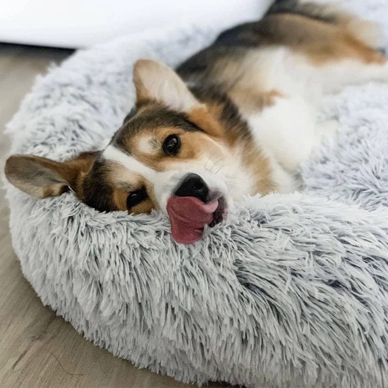 Ronde Honden- en Kattenmand – XXL Knuffelbed van Pluche