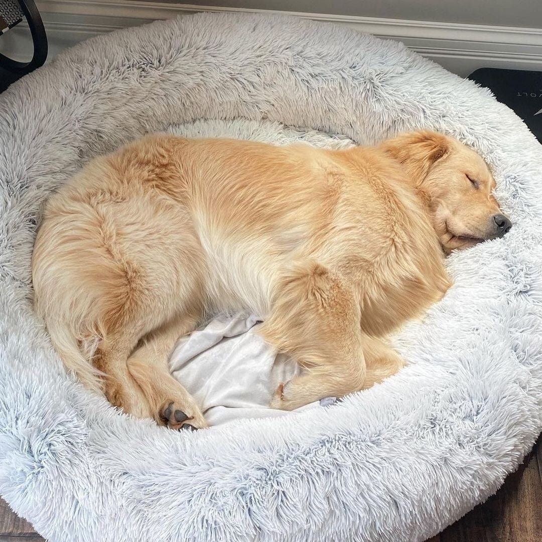 Ronde Honden- en Kattenmand – XXL Knuffelbed van Pluche