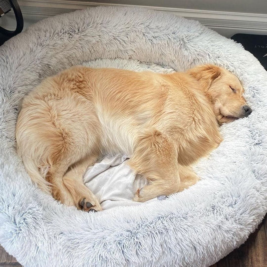 Ronde Honden- en Kattenmand – XXL Knuffelbed van Pluche