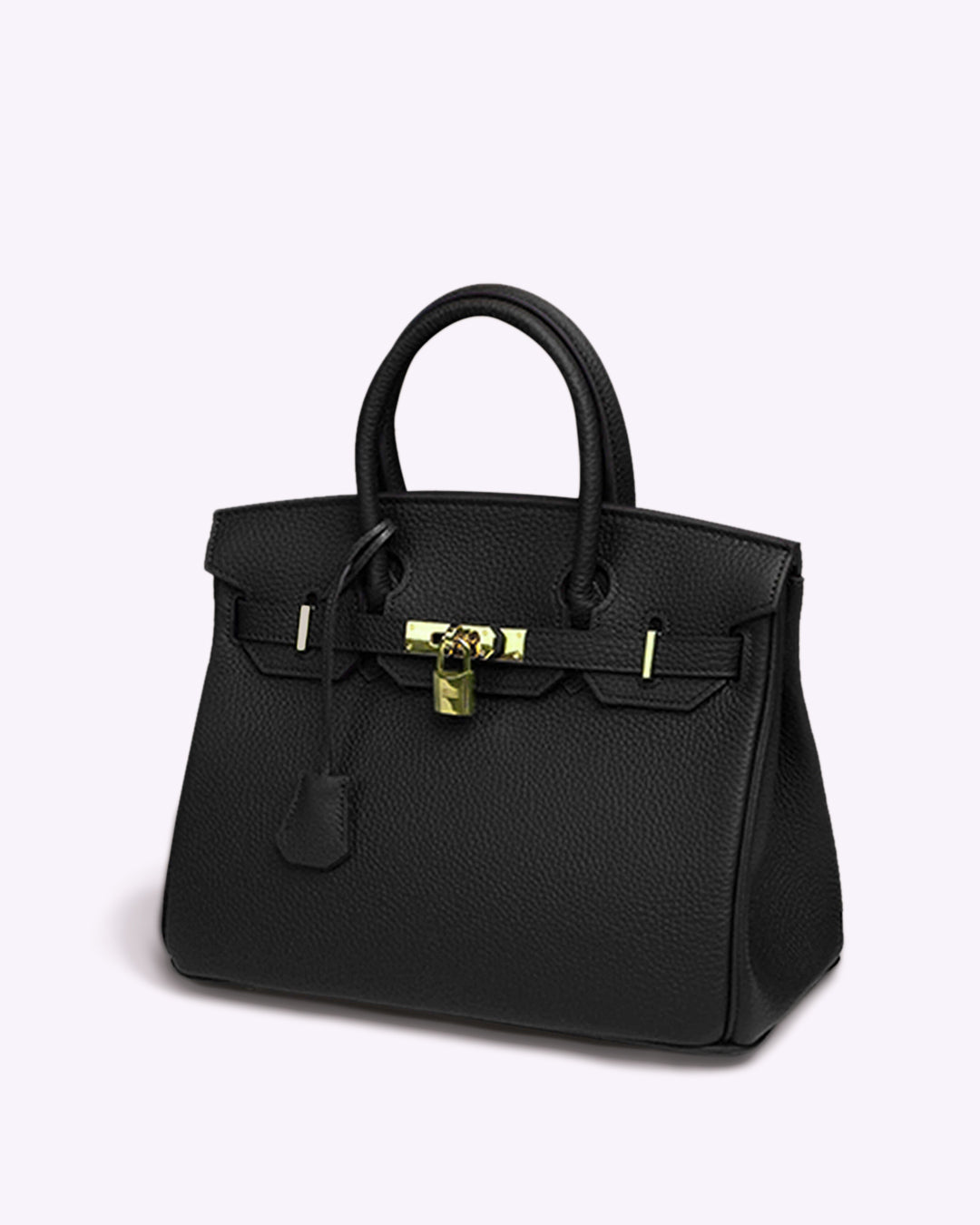 Iconische Luxe Handtas – Klassiek Design met Gouden Accenten