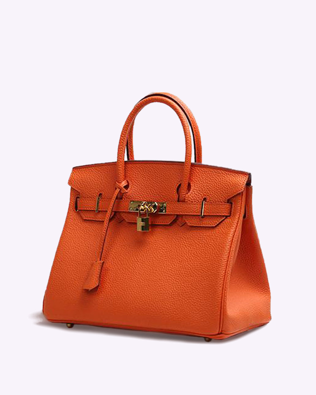 Iconische Luxe Handtas – Klassiek Design met Gouden Accenten