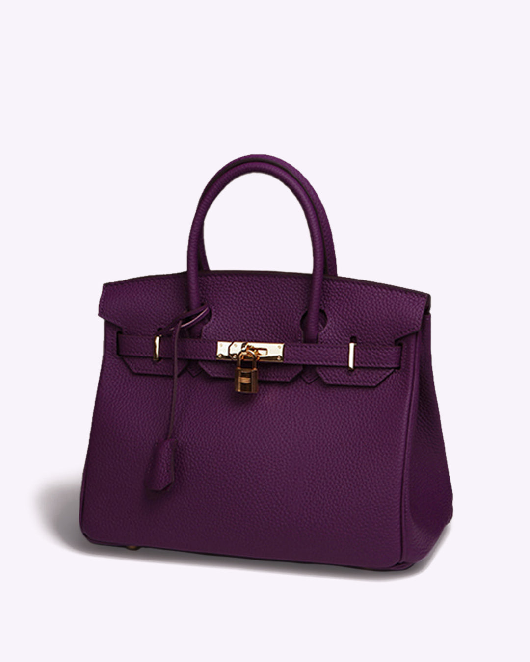 Iconische Luxe Handtas – Klassiek Design met Gouden Accenten