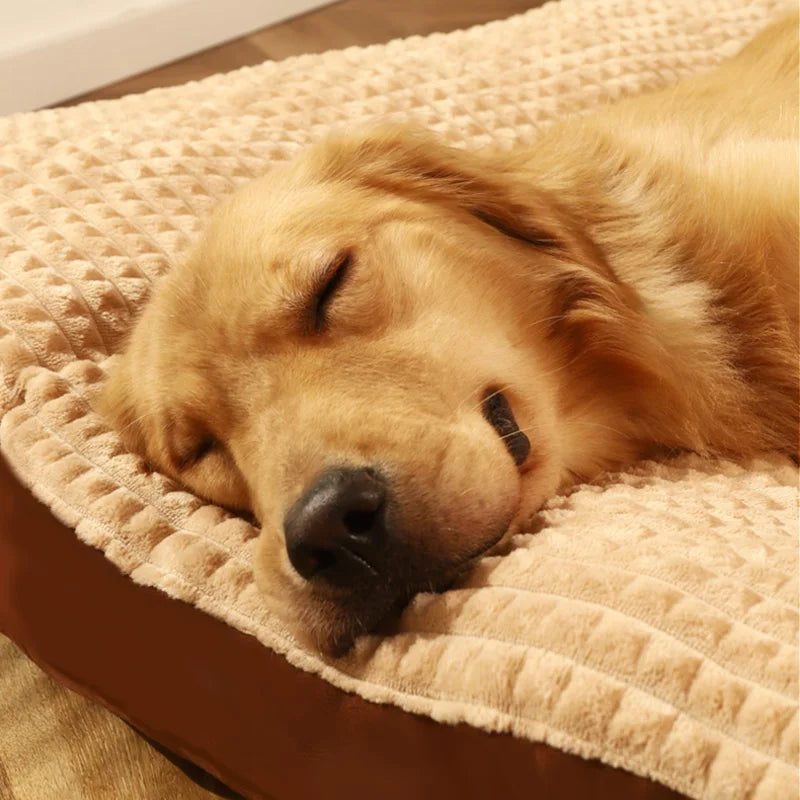 Orthopedisch Hondenbed – Extra Dik & Comfortabel Ligbed voor Grote en Kleine Honden