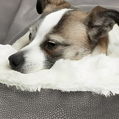 Hondenmand met Dekentje – Knusse Slaapzak voor Honden en Katten