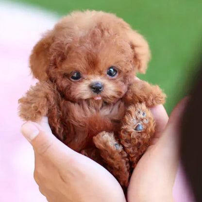 Schattige Pluche Puppy Knuffel – Realistisch Hondje als Speelgoed & Cadeau