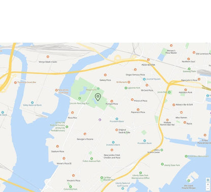 TrackCat | GPS Volgsysteem voor Katten met Real-Time Updates