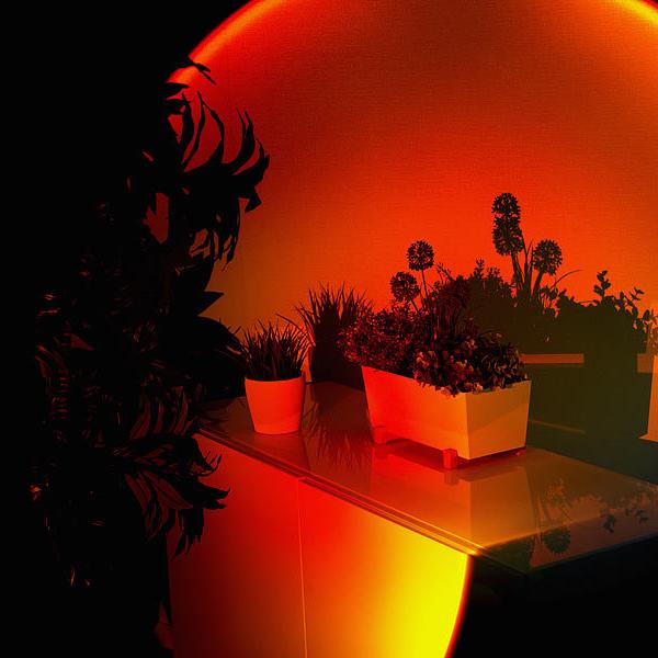 Zonsondergang Projector Lamp – Sunset LED Licht voor Sfeer & Decor | 360° Draaibaar & USB-aangedreven